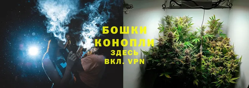 наркота  Люберцы  Канабис Ganja 